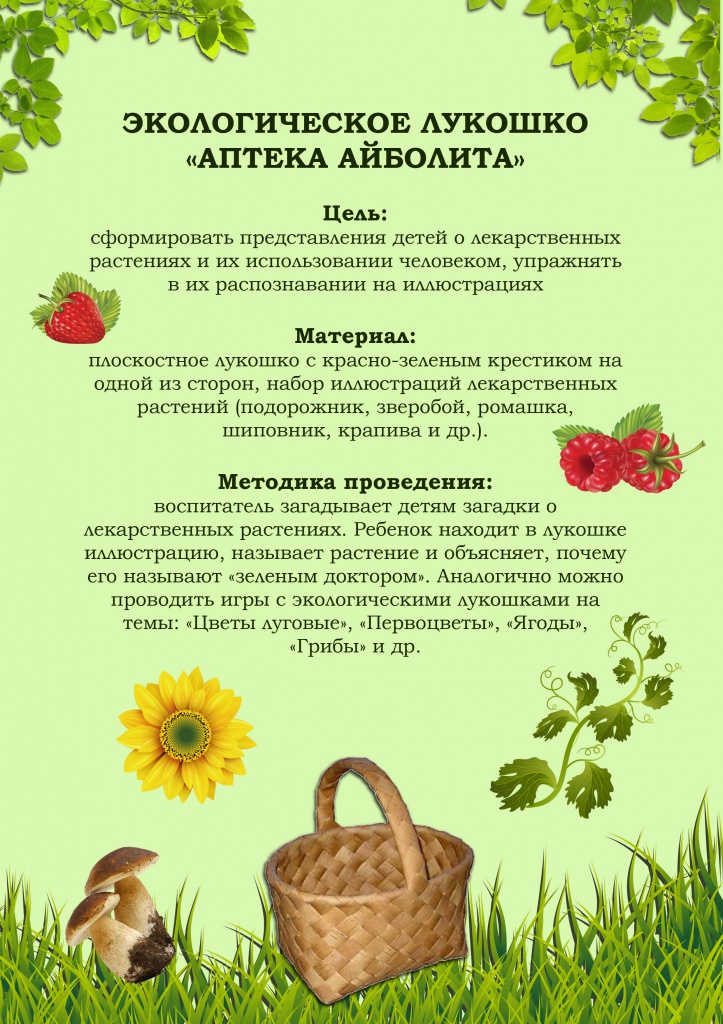 Дидактические Игры По Экологии Картотека